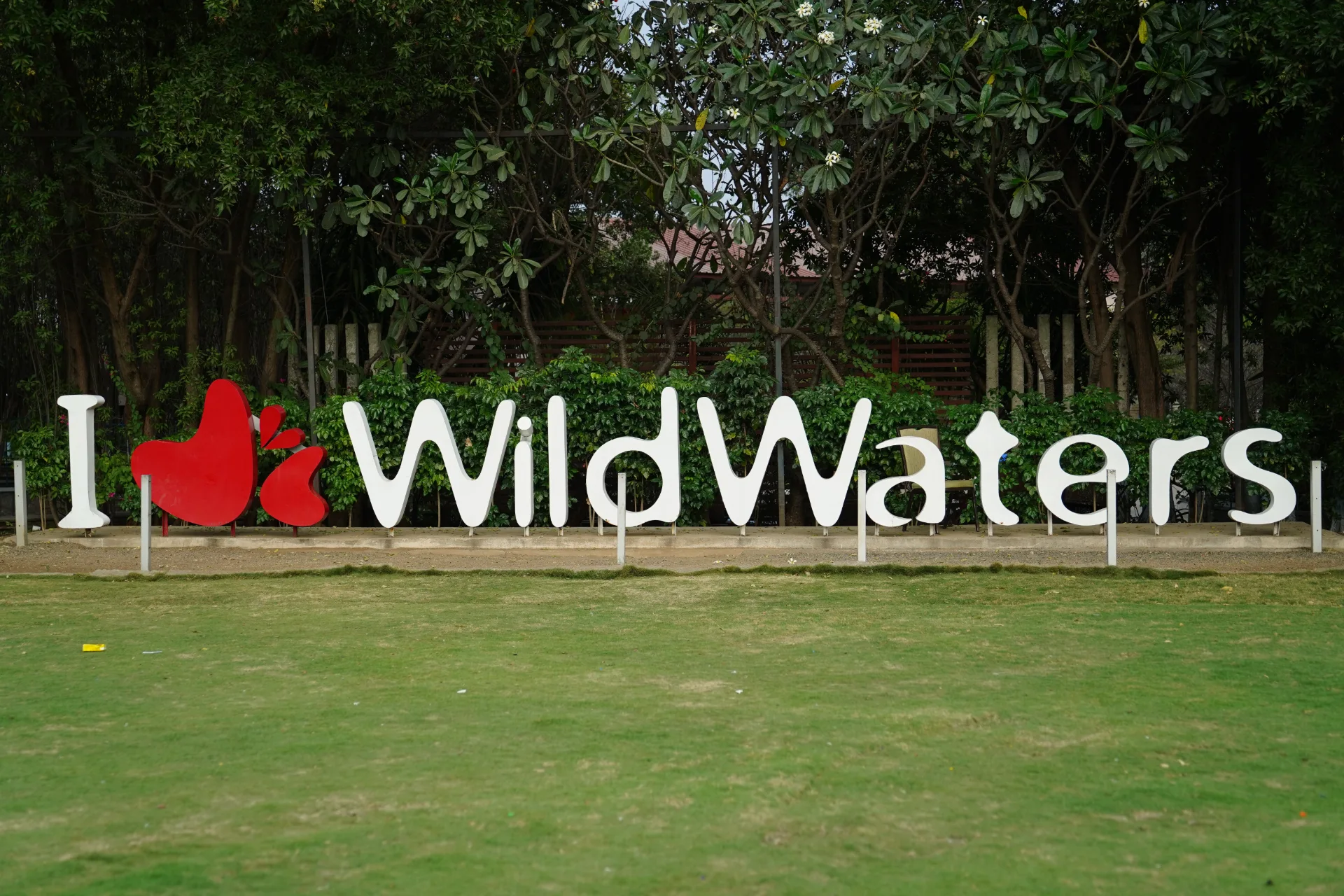 Water Party Image 13