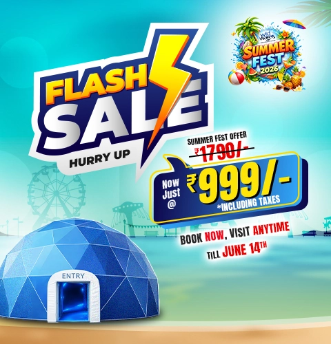 Wild waters Pirates Cove