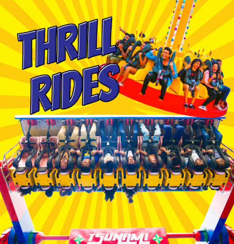 Thrilling Amusement Park Rides